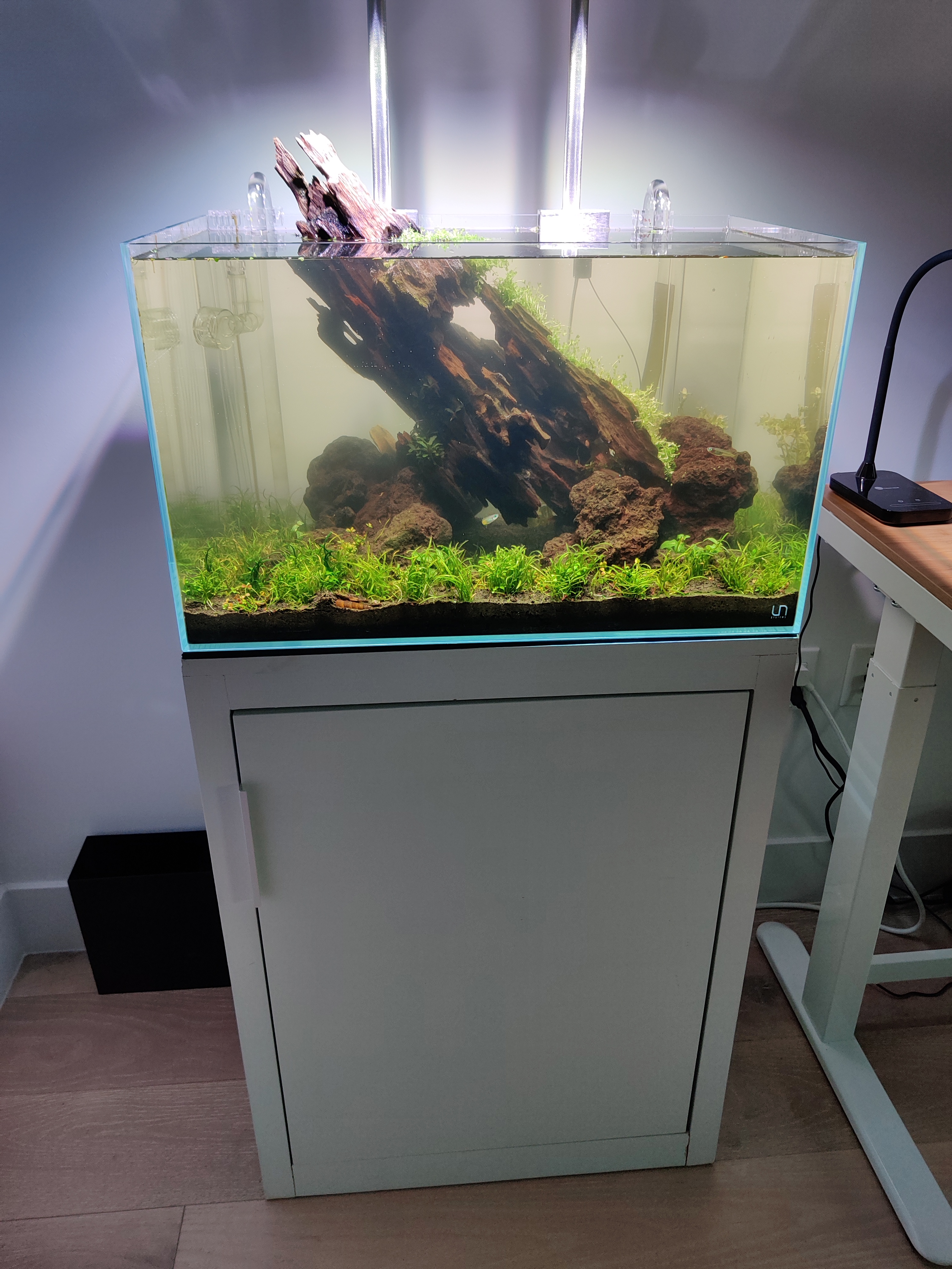 Tank Day 0