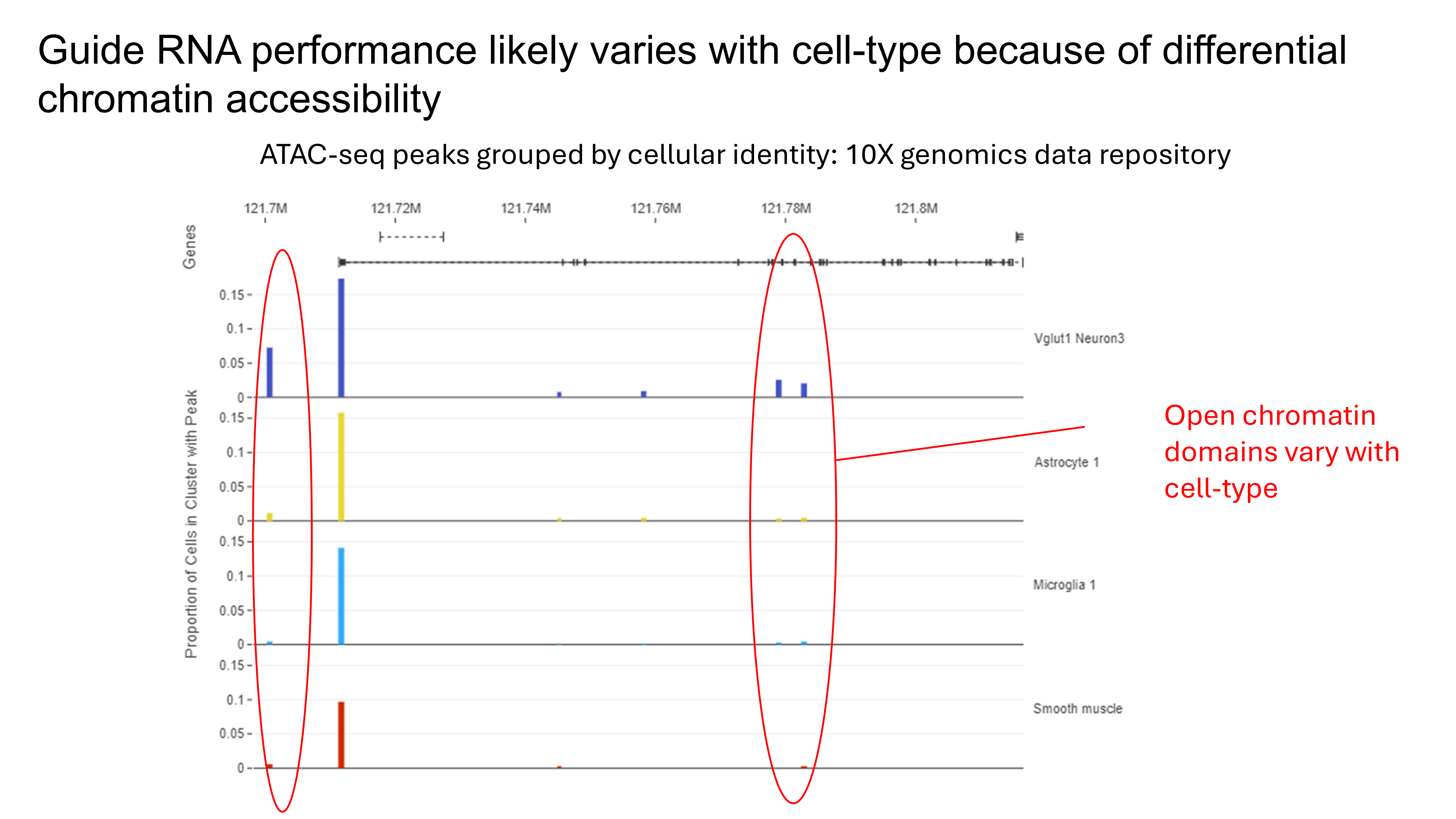ATAC seq peaks by cell type