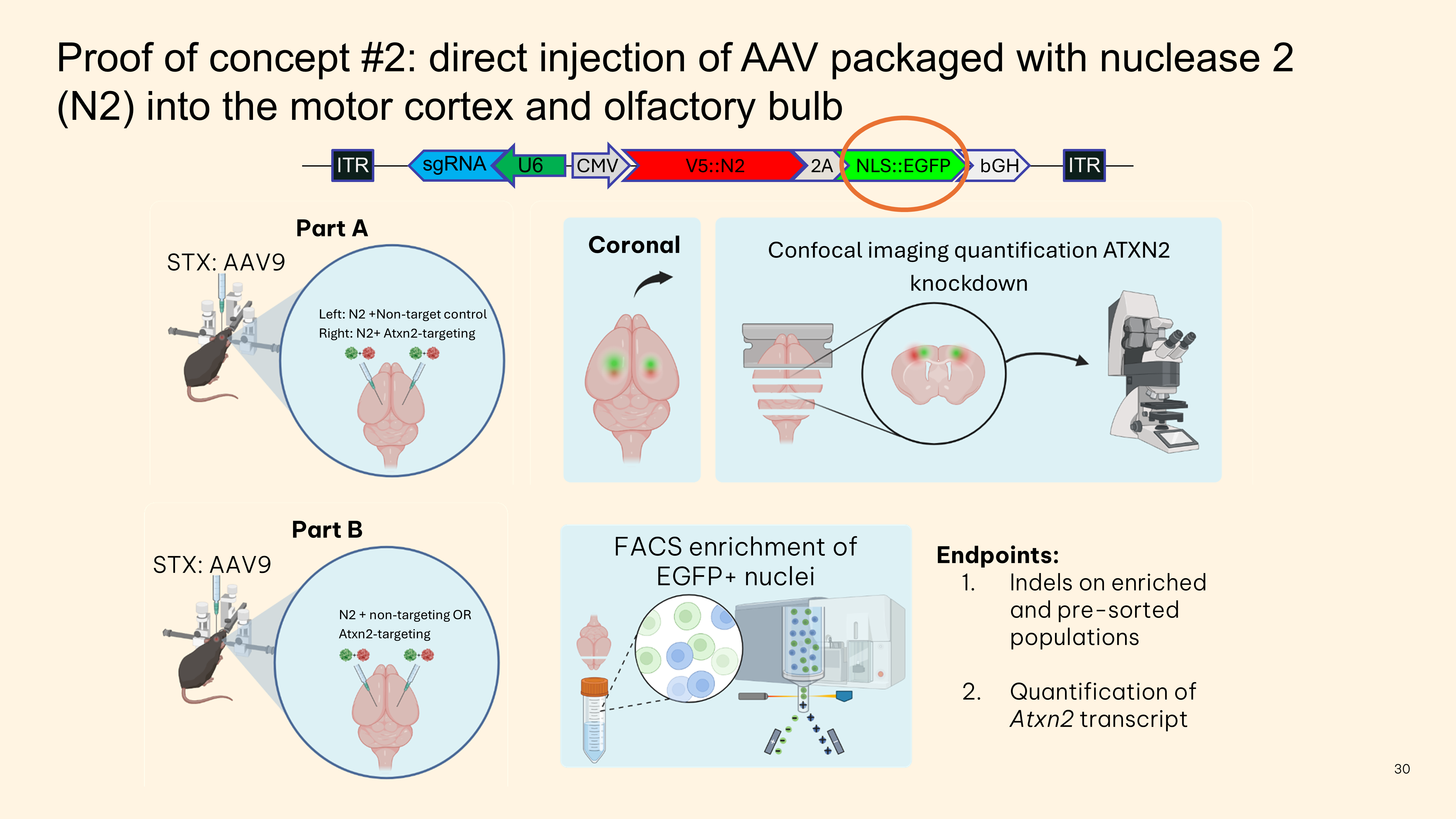 FACS proof of concept