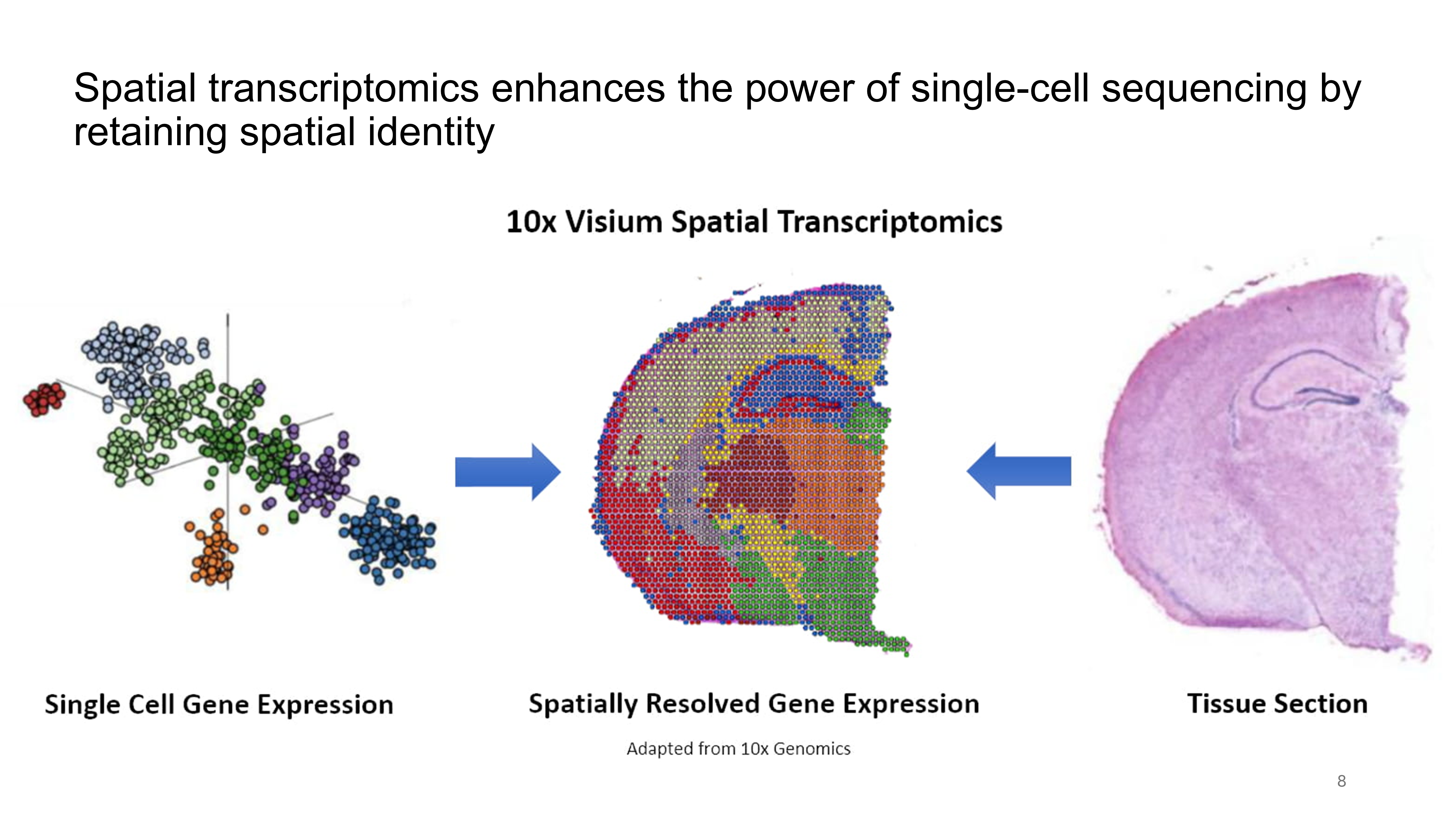 Spatial transcriptomics analysis 1