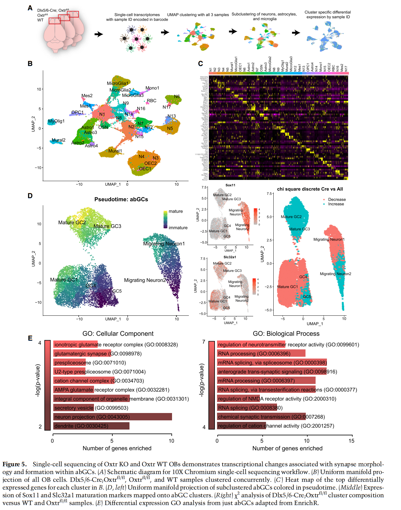 Single-cell sequencing analysis